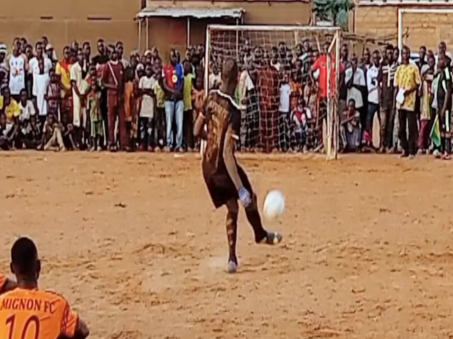 photo de la rencotre